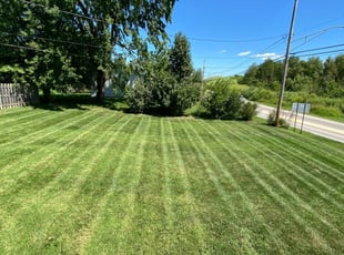 1 Fredericksburg Va Lawn Care Service Lawn Mowing From 19 Best 2020