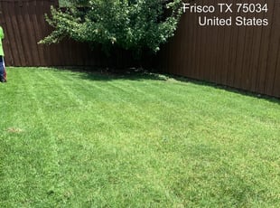 Fresno Tx Lawn Care Service Lawn Mowing From 19 Rated Best 2020