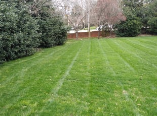 Friendswood Tx Lawn Care Service Lawn Mowing From 19 Rated Best 2020