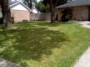 Friendswood Tx Lawn Care Service Lawn Mowing From 19 Rated Best 2020