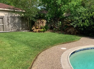 Friendswood Tx Lawn Care Service Lawn Mowing From 19 Rated Best 2020