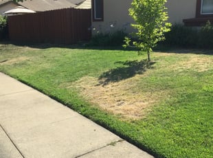 Friendswood Tx Lawn Care Service Lawn Mowing From 19 Rated Best 2020