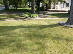 Frisco Tx Lawn Care Service Lawn Mowing From 19 Rated Best 2020