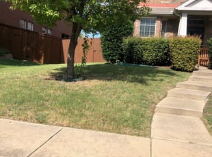 Frisco Tx Lawn Care Service Lawn Mowing From 19 Rated Best 2020