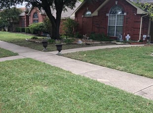 Frisco Tx Lawn Care Service Lawn Mowing From 19 Rated Best 2020