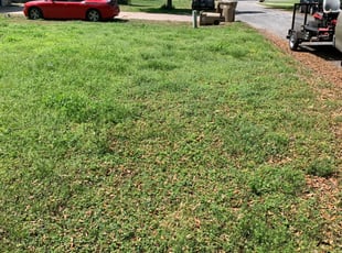 6 Best Lawn Care Services in Fruitland Park, FL 2020 ...
