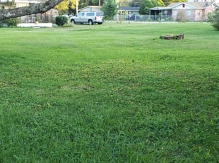 1 Fuquay Varina Nc Lawn Care Service Lawn Mowing From 19 Best 2020
