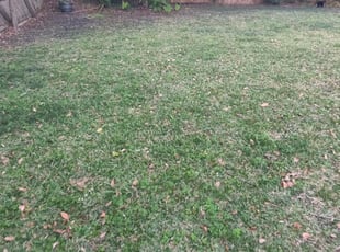 1 Fuquay Varina Nc Lawn Care Service Lawn Mowing From 19 Best 2020