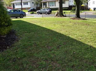 1 Gainesville Va Lawn Care Service Lawn Mowing From 19 Best 2020