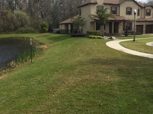 Galena Park Tx Lawn Care Service Lawn Mowing From 19 Rated Best 2020