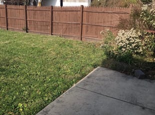 1 Gallatin Tn Lawn Care Service Lawn Mowing From 19 Best 2020