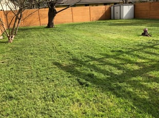 1 Gallatin Tn Lawn Care Service Lawn Mowing From 19 Best 2020