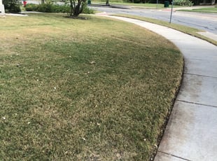 1 Galveston Tx Lawn Care Service Lawn Mowing From 19 Best 2020