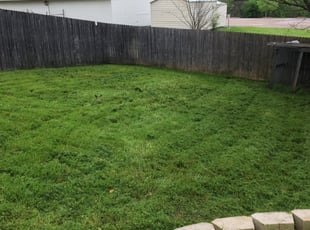 Garland Tx Lawn Care Service Lawn Mowing From 19 Rated Best 2020