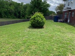 Garland Tx Lawn Care Service Lawn Mowing From 19 Rated Best 2020