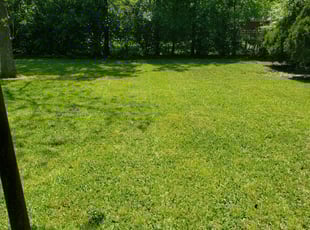 Garland Tx Lawn Care Service Lawn Mowing From 19 Rated Best 2020