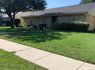 Garland Tx Lawn Care Service Lawn Mowing From 19 Rated Best 2020