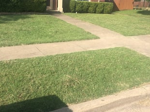 Garland Tx Lawn Care Service Lawn Mowing From 19 Rated Best 2020