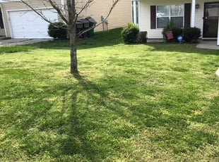 Garner Nc Lawn Care Service Lawn Mowing From 19 Rated Best 2020