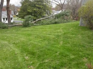 1 Gary In Lawn Care Service Lawn Mowing From 19 Best 2020