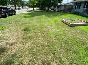 1 Gary In Lawn Care Service Lawn Mowing From 19 Best 2020