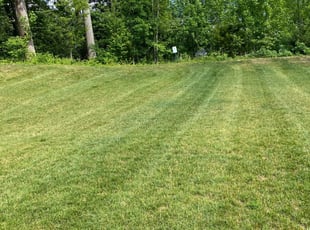 1 Gastonia Nc Lawn Care Service Lawn Mowing From 19 Best 2020
