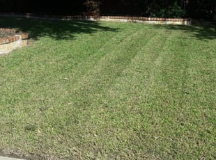 Georgetown Ky Lawn Care Service Lawn Mowing From 19 Rated Best 2020