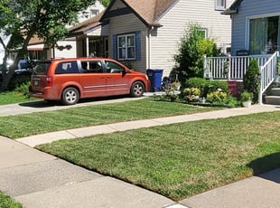 #1 Georgetown, TX Lawn Care Service | Lawn Mowing from $19 ...