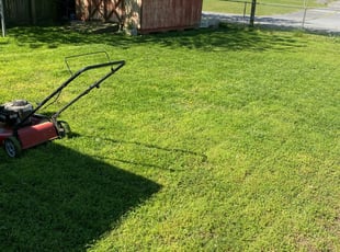 Gibsonton Fl Lawn Care Service Lawn Mowing From 19 Rated Best 2020