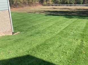 1 Glen Allen Va Lawn Care Service Lawn Mowing From 19 Best 2020