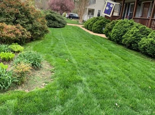 1 Glen Allen Va Lawn Care Service Lawn Mowing From 19 Best 2020