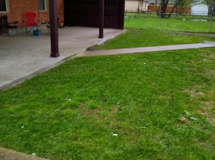 1 Gloucester Va Lawn Care Service Lawn Mowing From 19 Best 2020