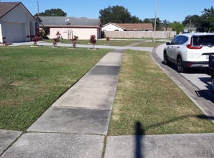 1 Goldsboro Nc Lawn Care Service Lawn Mowing From 19 Best 2020