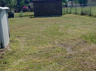 1 Goose Creek Sc Lawn Care Service Lawn Mowing From 19 Best 2020