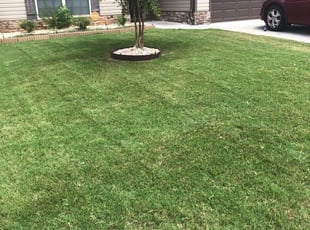 1 Goose Creek Sc Lawn Care Service Lawn Mowing From 19 Best 2020
