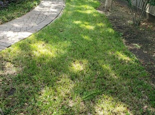 1 Granbury Tx Lawn Care Service Lawn Mowing From 19 Best 2020