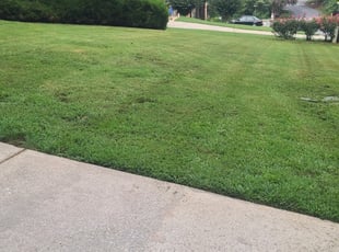 Grand Prairie Tx Lawn Care Service Lawn Mowing From 19 Rated Best 2020