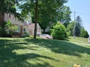 1 Grand Rapids Mi Lawn Care Service Lawn Mowing From 19 Best 2020