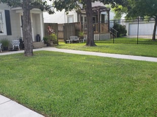 Grapevine Tx Lawn Care Service Lawn Mowing From 19 Rated Best 2020