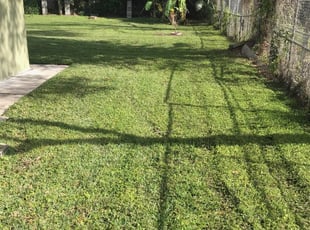 1 Greenbelt Md Lawn Care Service Lawn Mowing From 19 Best 2020