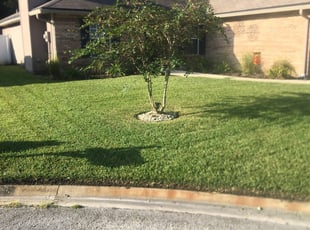 #1 Greensboro, NC Lawn Care Service | Lawn Mowing from $19 ...