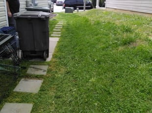 1 Greensboro Nc Lawn Care Service Lawn Mowing From 19 Best 2020