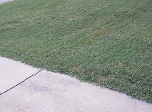1 Greensburg Pa Lawn Care Service Lawn Mowing From 19 Best 2020