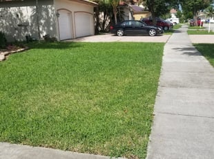1 Greensburg Pa Lawn Care Service Lawn Mowing From 19 Best 2020
