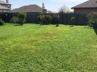 1 Greenville Mi Lawn Care Service Lawn Mowing From 19 Best 2020