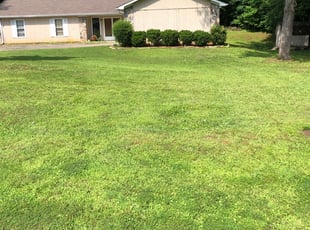 1 Greenville Tx Lawn Care Service Lawn Mowing From 19 Best 2020