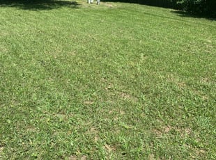 Greenwich Ct Lawn Care Service Lawn Mowing From 19 Rated Best 2020