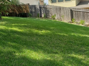 1 Griffin Ga Lawn Care Service Lawn Mowing From 19 Best 2020