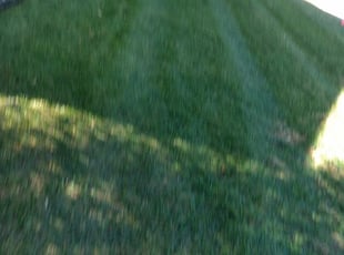 Grove City Oh Lawn Care Service Lawn Mowing From 19 Rated Best 2020