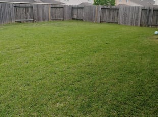 Gulf Breeze Fl Lawn Care Service Lawn Mowing From 19 Rated Best 2020